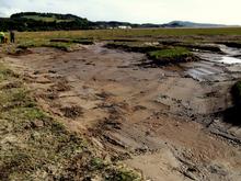 7/7/2011: All we need is water...Shallow scrapes, irregular margins and differing depths...ideal for waders and wildfowl. 
