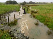 Gilsmere Syke running into Tarney Bank