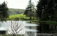 Barkin House Tarn Trout Fishery