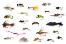 Trout Flies