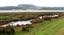 After two and half hours the wetland is open again