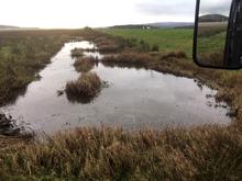 Cutting the second marsh flash 