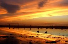 Evening flight after a Spring Tide (photo by Stotty)