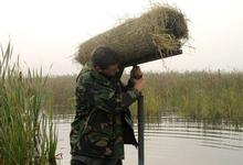 RSPB assistant warden installing a mallard nest tube