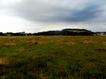 Milnthorpe flashes/scrapes locality marked out by white marker posts.  