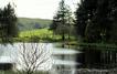 Barkin House Tarn Trout Fishery