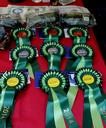 BASC North provided lots of prizes! 